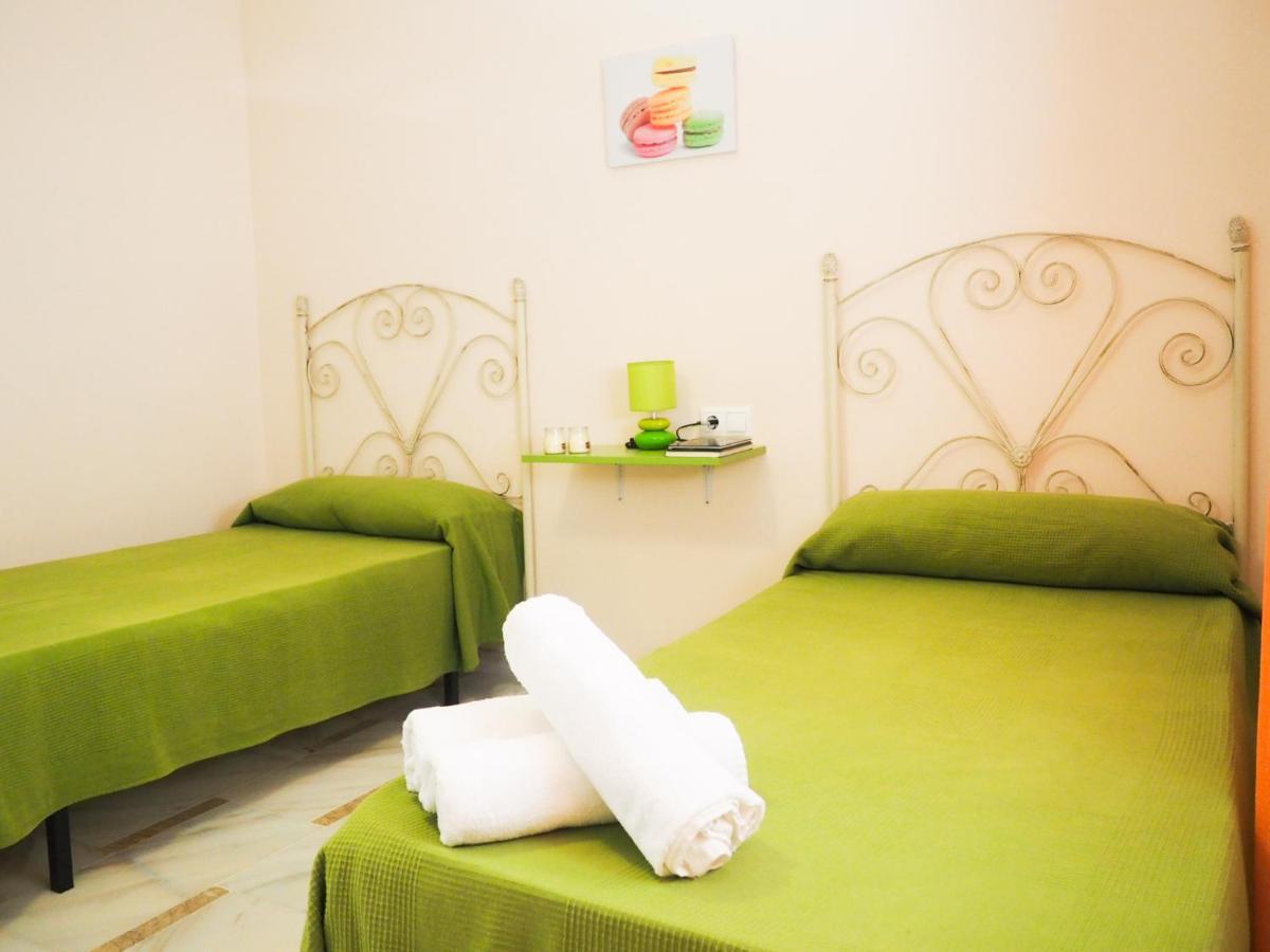 Conilplus San Ignacio Appartement